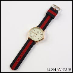 Daniel Wellignton Watch